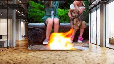 Two sisters talking stories by the campfire Wall mural