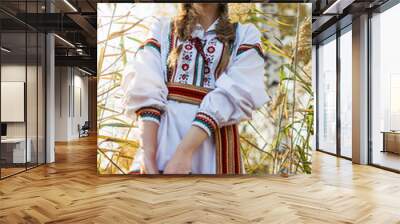 Young girl on the summer field  in national Belarus clothes, fas Wall mural