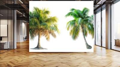 Various Coconut palm tree isolated transparent white background. Wall mural