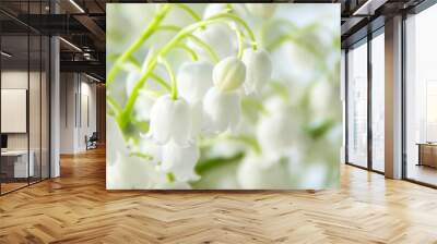 banner of Lily of the valley flowers. Natural background with blooming lilies of the valley lilies-of-the-valley Wall mural