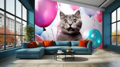 surprised little cat on solid bright background with colorful balloons. Wall mural