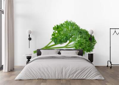 parsley on white background Wall mural