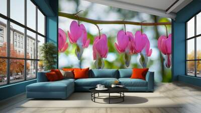 Bleeding Hearts 2 Wall mural