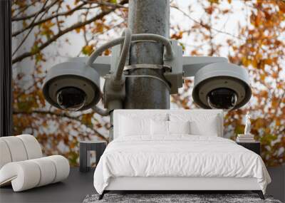 Close up of two security cameras on a pole with an autumnal tree in the background Wall mural