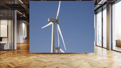 two wind generators Wall mural