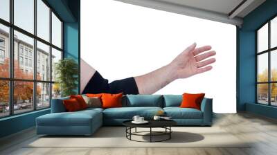 support brace on injured elbow isolated Wall mural