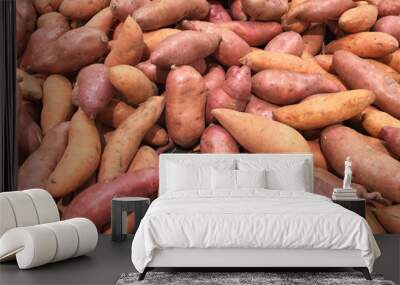 Sweet potato or Kumara background Wall mural