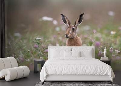 Brown Hare (Lepus europaeus) in summer meadow Wall mural