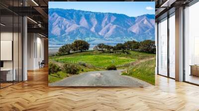 Coastal live oak trees grow in the foothills of Salinas Valley, in Monterey County, California, with the Santa Lucia Mountain range in the background.  Wall mural