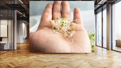 A view of a small pile of sprouts in the palm of the hand. Wall mural