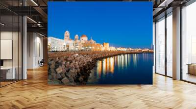 cathedral of cadiz Wall mural