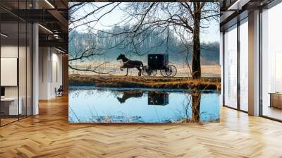 Amish Buggy Reflected in Pond Wall mural