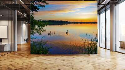 Swans on the Lake at Sunset Wall mural