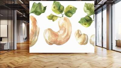 Cashew Set Composition Watercolor Isolated on White Background Wall mural