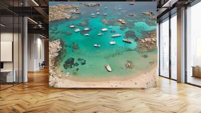 Corsica Lavezzi island Wall mural