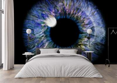 Realistic image of an eye. Iris, cornea, retina with luminous flash. Light blue eye. 3D Illustration. Wall mural