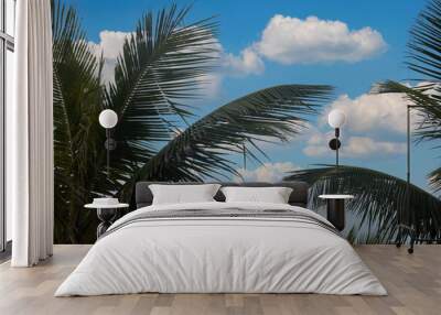 Palm Tree isolated against a beatuful sky Wall mural