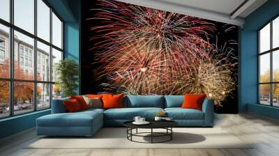 Fireworks Close-Up with Black Background 2 Wall mural