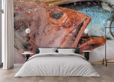 fresh fish on ice Wall mural