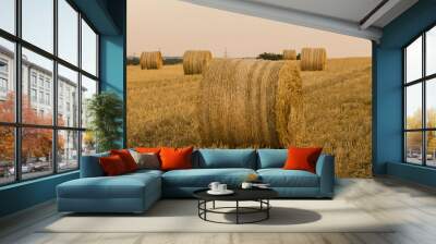 hay bales in the field Wall mural