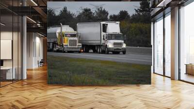 Trailer trucks driving on the road surrounded by beautiful green trees Wall mural