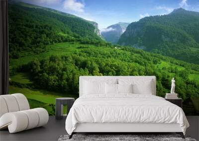 pyrenees Wall mural