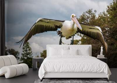 Pelican Coming In To Land Buckets Wings Wall mural