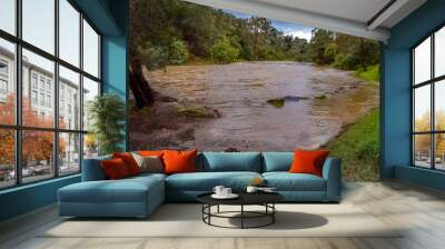 River In Flood Wall mural