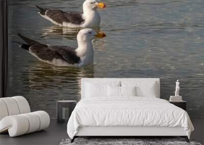 Two Gulls Afloat Wall mural