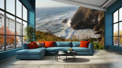 waves on coast Wall mural