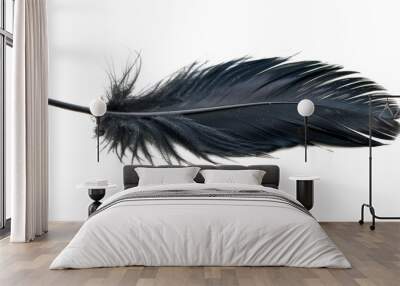 black feather isolated on white or transparent png Wall mural