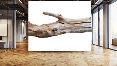 driftwood log isolated on white or transparent png Wall mural