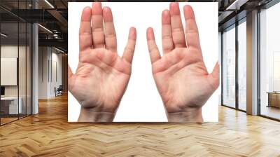 flat human open hands holding or presenting something isolated on white or transparent png Wall mural