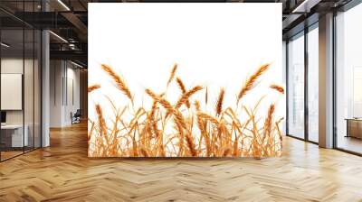 golden wheat field isolated on white or transparent Wall mural