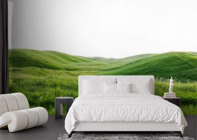 green grassland landscape isolated on white or transparent png Wall mural