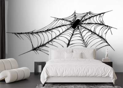 illustration of a spider web isolated on white or transparent png Wall mural