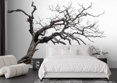 leafless old spooky tree isolated on white or transparent png Wall mural