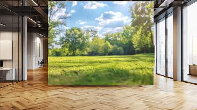 natural landscape of grass field Wall mural