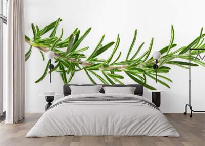 rosemary branch isolated on white or transparent png Wall mural