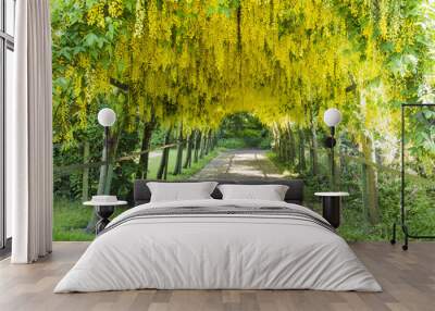 Laburnum Arch Wall mural