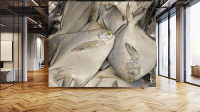 fresh fish for sale Wall mural