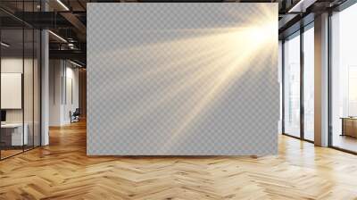 Light Vector with Sun Glare. Sun, Sunrays, and Glare in PNG Format. Gold Flare and Glare.	
 Wall mural