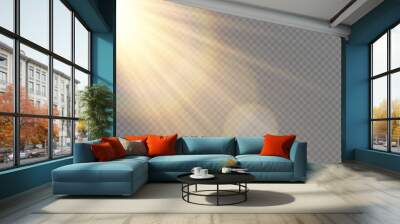 Light Vector with Sun Glare. Sun, Sunrays, and Glare in PNG Format. Gold Flare and Glare.	
 Wall mural