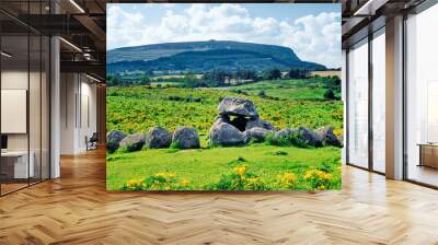 Carrowmore prehistoric Neolithic cemetery, Grave 7, with Queen Maeve's cairn on summit of Knocknarea behind. County Sligo, Ireland Wall mural