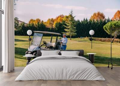 Golf cart on the course with colorful background Wall mural