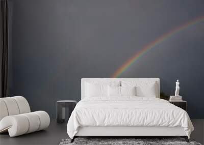 Rainbow Wall mural