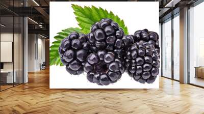 Ripe blackberries with green leaves isolated on transparent background Wall mural