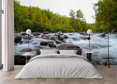 Running water in creek in Alaska Wall mural