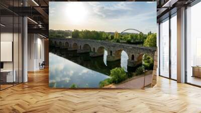 The Roman bridge of the Spanish city of Mérida is considered the longest in antiquity.In the times of the Roman Empire the work was elevated over the Guadiana river along two sections separated by a t Wall mural