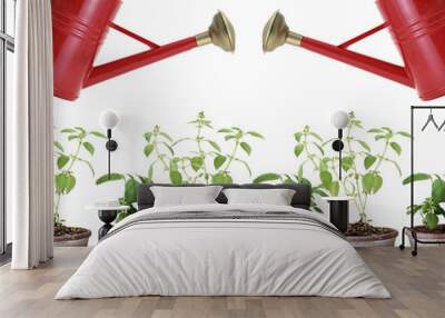 two red watering cans and plants in pots Wall mural